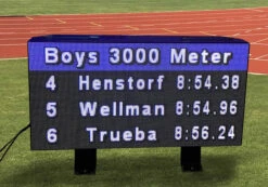 Lynx 84x168 Pixel LED Color Display